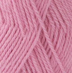 4613 Rosa (rosa)