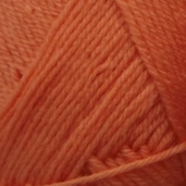 3507 Korall (coral)