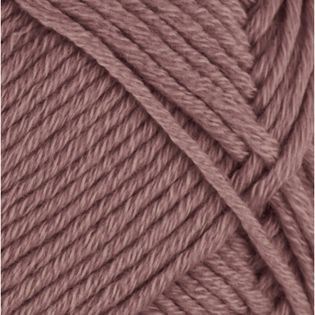 8142 Mork rose