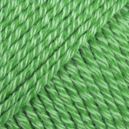 37 parrot green