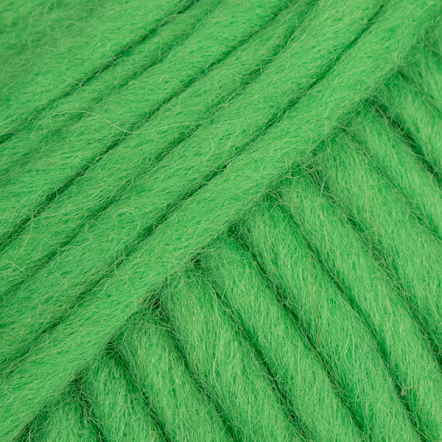 103 parrot green