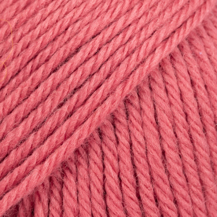 80 rose