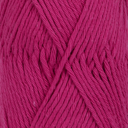 14 raspberry