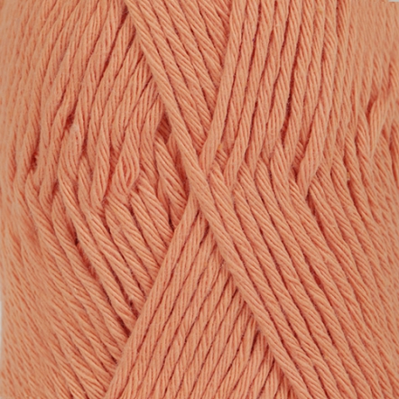 19 apricot