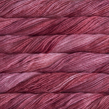 401 Raspberry