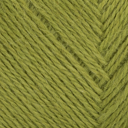 9813 SUNNY LIME