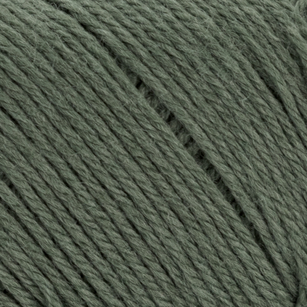 8581 FOREST GREEN