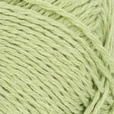 9523 Lime Punch