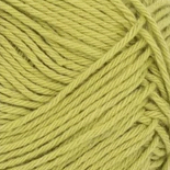 9825 SUNNY LIME