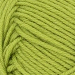 9825 SUNNY LIME