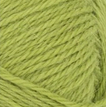9825 SUNNY LIME