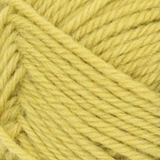 9825 SUNNY LIME