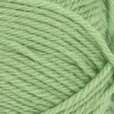 8733 SPRING GREEN