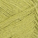 9825 SUNNY LIME