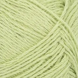 9523 Lime Punch
